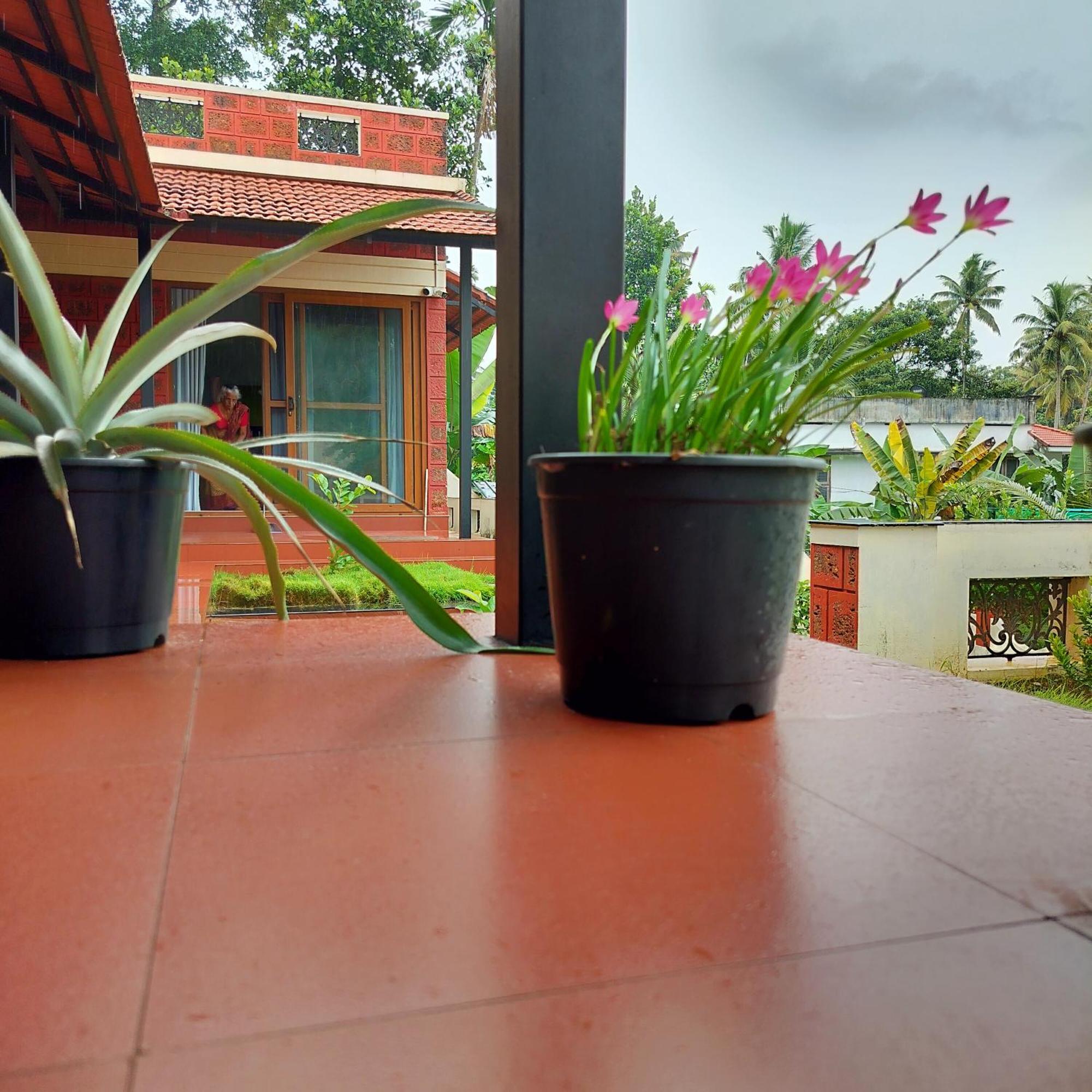 The Ixora - A Boutique Homestay バルカラ エクステリア 写真
