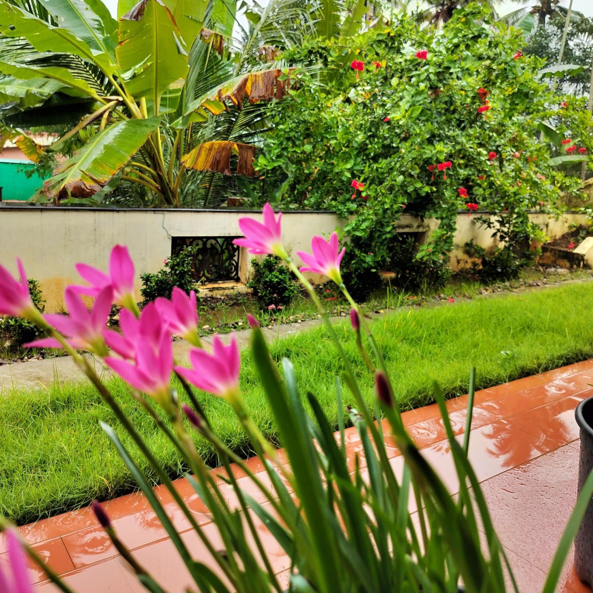 The Ixora - A Boutique Homestay バルカラ エクステリア 写真