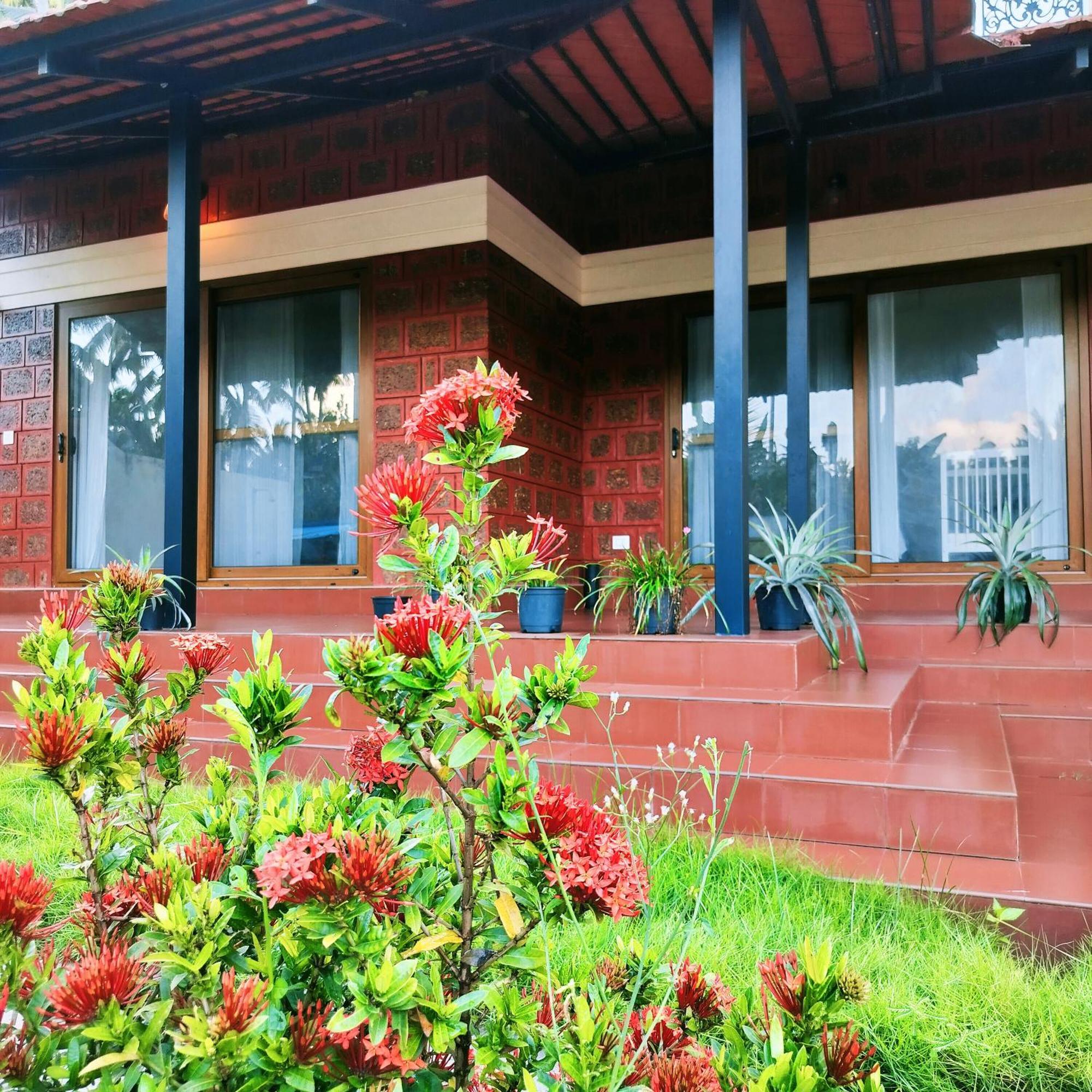 The Ixora - A Boutique Homestay バルカラ エクステリア 写真